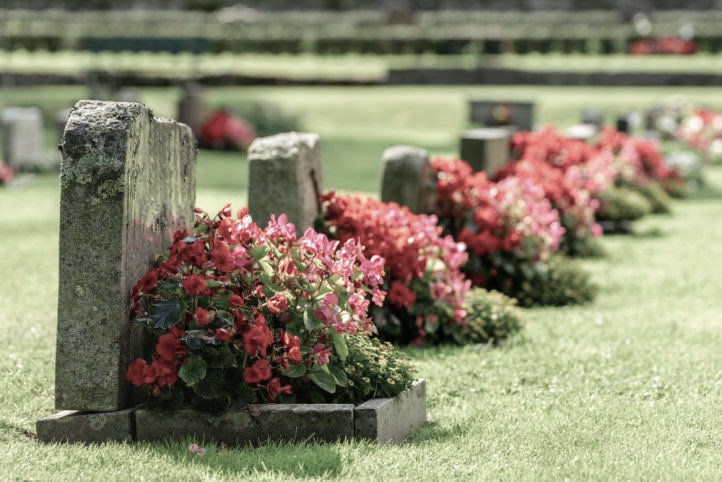 Fleurissement saisonnier d'une tombe — compositions florales naturelles